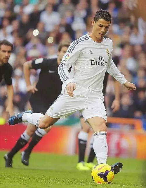 竞争愈加激 竞争愈加激