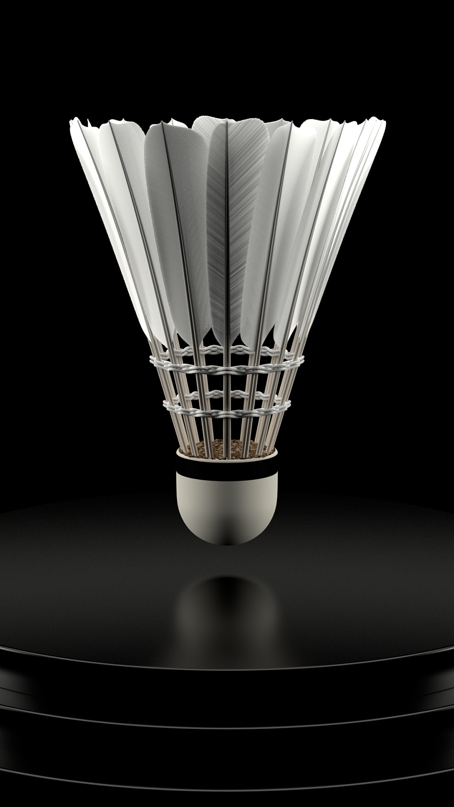 作为黄蜂队 作为黄蜂队